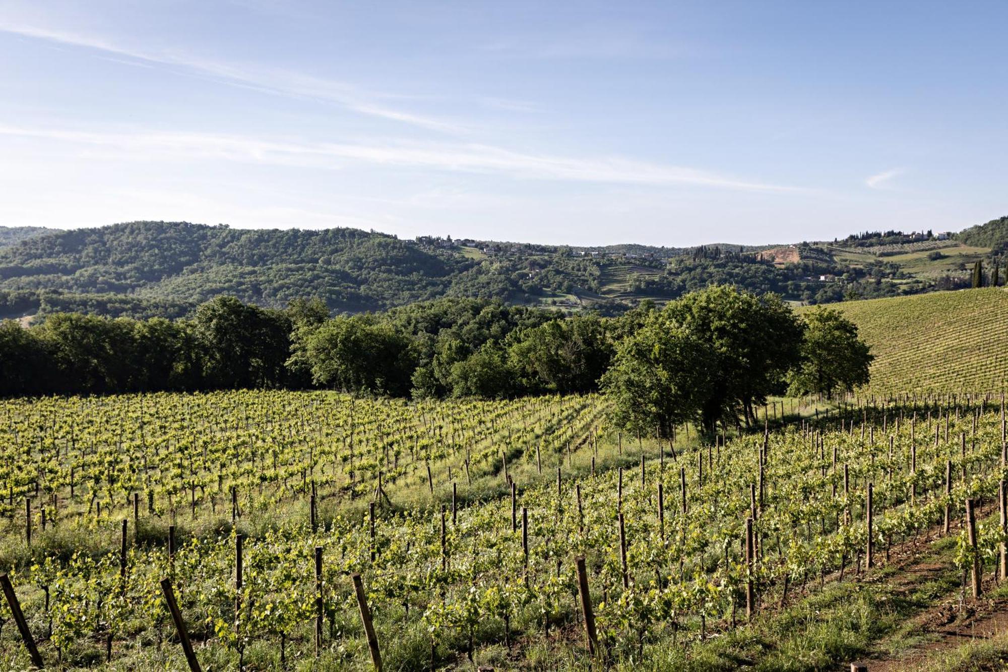 Pieve Aldina Relais & Chateaux Radda in Chianti Exteriör bild